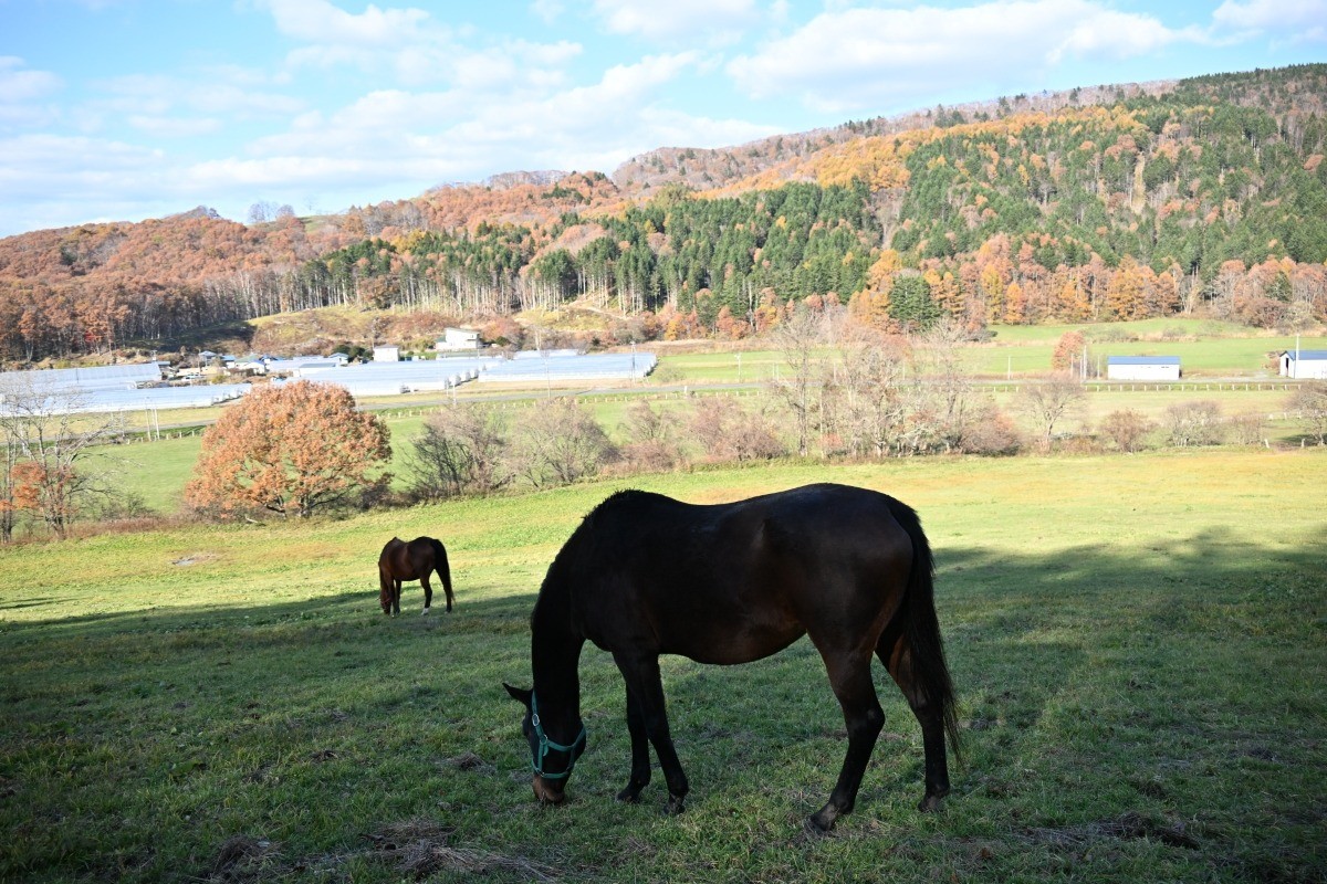 7ba34963ce10919bde63ef4e65e562c3-1763522341.jpg 7ba34963ce10919bde63ef4e65e562c3-1763522341.jpg